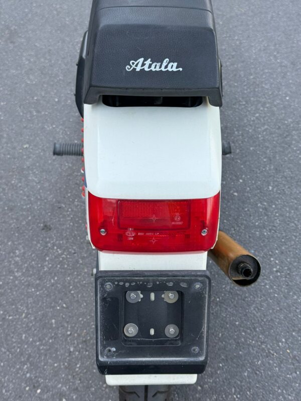 ATALA MASTER HYDRO - immagine 12