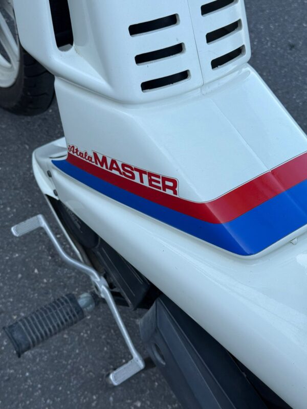 ATALA MASTER HYDRO - immagine 13
