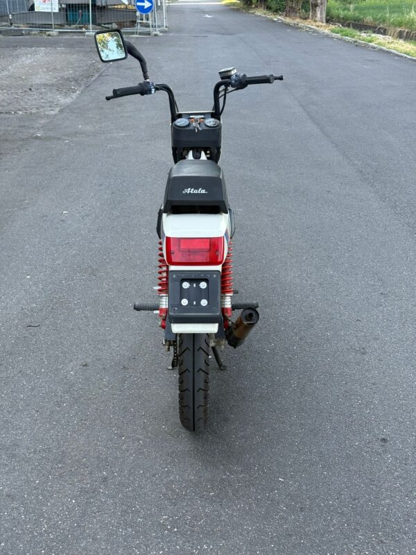 ATALA MASTER HYDRO - immagine 5